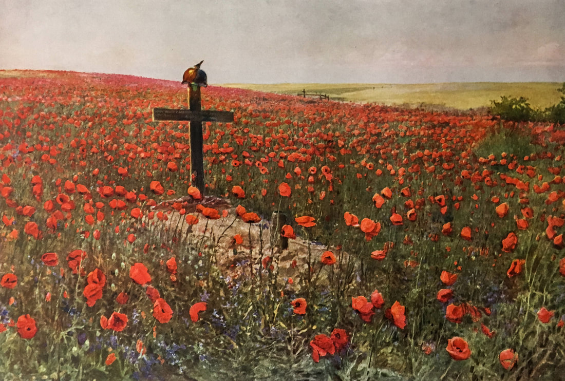 Poppy field and grave